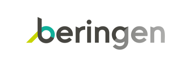 Stad Beringen
